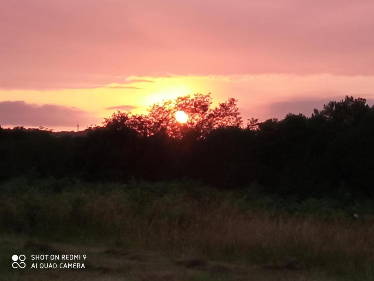 Tente Safari Lodge Dans Foret Luxuriante Vielle-Tursan Bagian luar foto