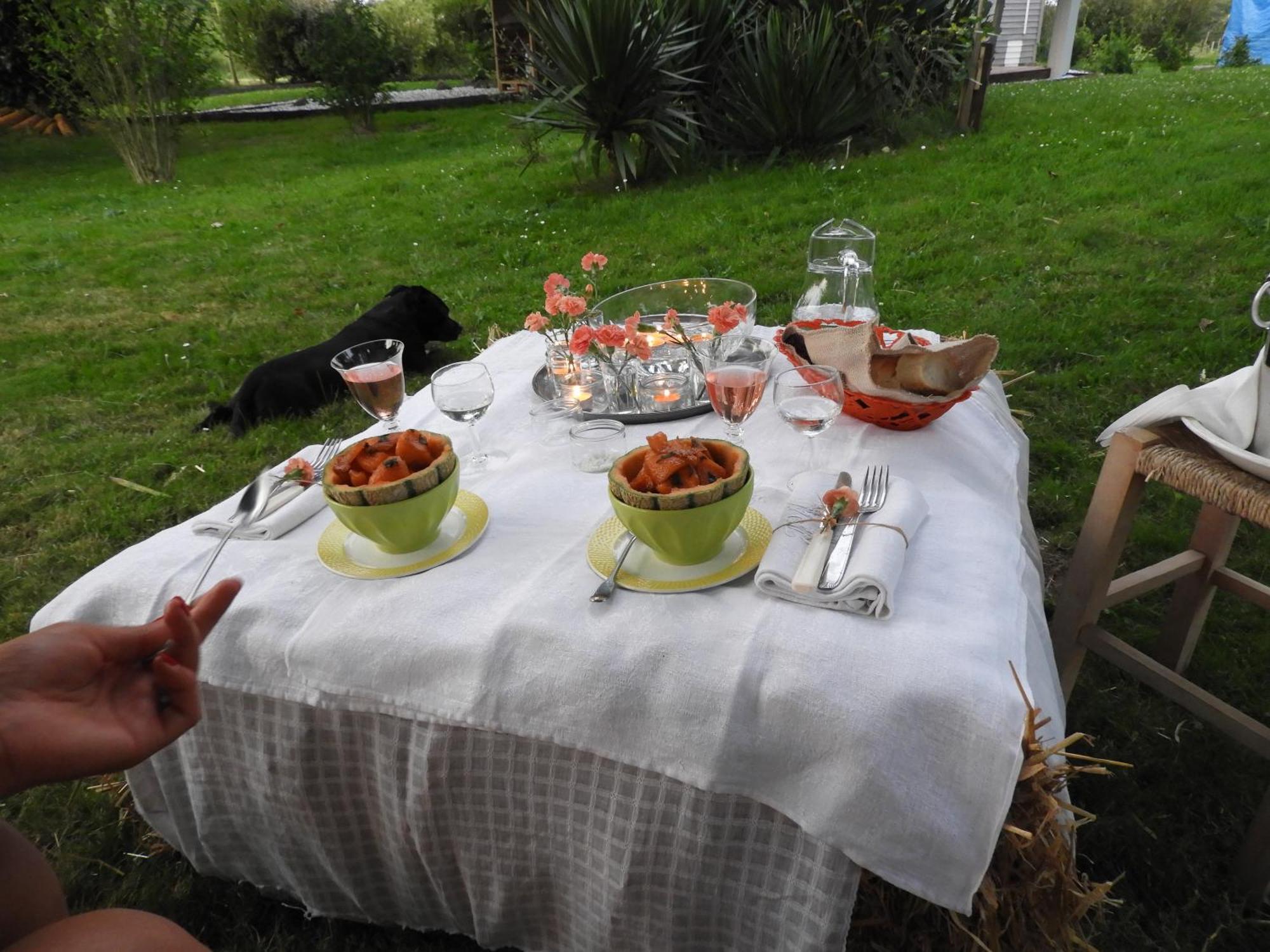 Tente Safari Lodge Dans Foret Luxuriante Vielle-Tursan Bagian luar foto